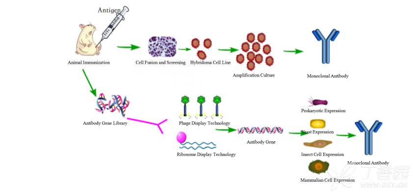 1676335346214379.png 軟文配圖1.png